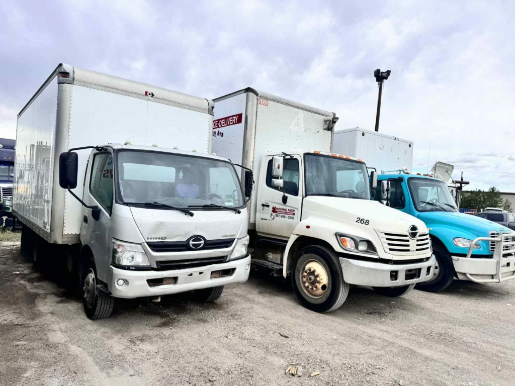 c0506bd4 7e00 4cca bed5 89fbcaf302ae c0506bd4 7e00 4cca bed5 89fbcaf302ae